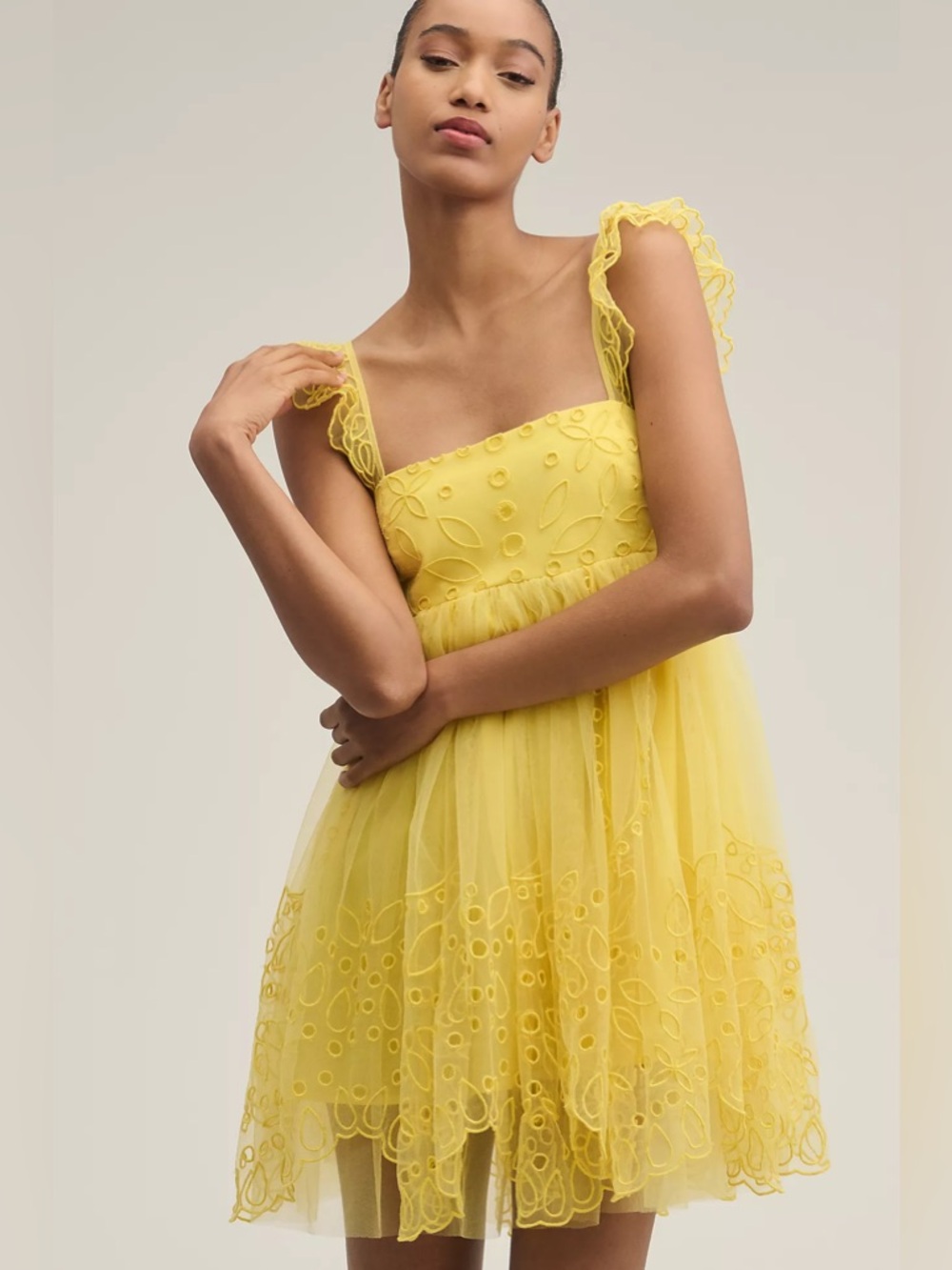 Anthropologie Let Me Be Eyelet Tulle Mini Dress NWT